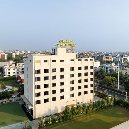 Hotel Marigold Jaipur Extérieur photo